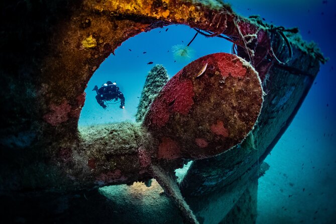2 Scuba Fun Dives for Certified divers in St Paul's Bay - Key things to know before you go