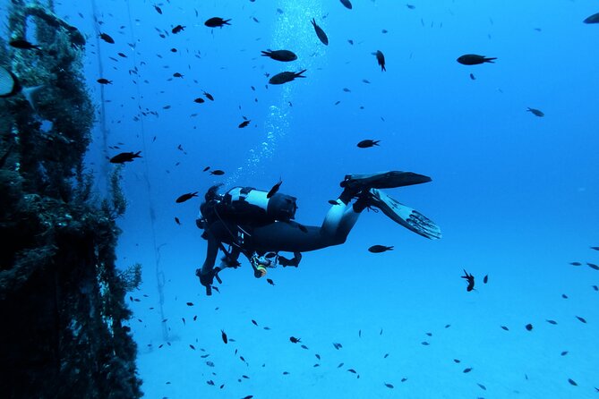 2 Scuba Fun Dives for Certified divers in St Paul's Bay - Two sessions in St Paul’s Bay, and why the setup matters