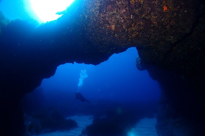 2 Scuba Fun Dives for Certified divers in St Paul's Bay - Safety rules: the medical checklist is not optional