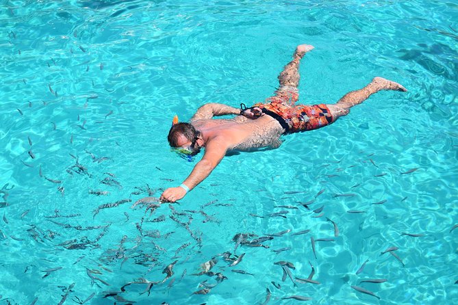 Blue Lagoon, Beaches and Bays Catamaran Sailing Tour - Getting to Bugibba Jetty: why early arrival changes everything
