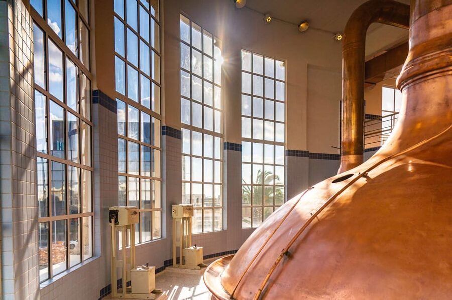 Brewery Experience with Beer Tasting and Optional Transport - The Cisk Tap tasting up top: five 100 mL pours and Malta views