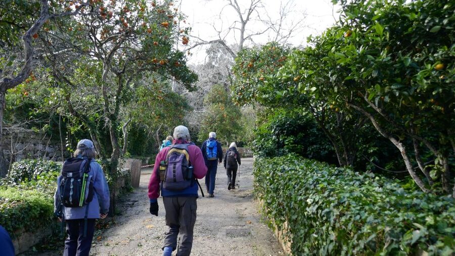 Buskett Woodlands and Dingli Cliffs Private Nature Tour - Price and value: what you are paying for