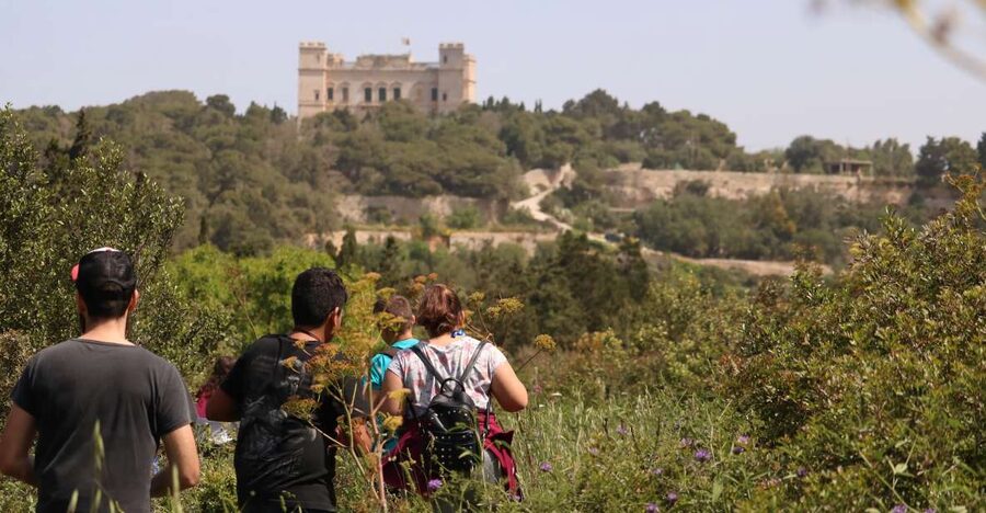 Buskett Woodlands and Dingli Cliffs Private Nature Tour - A private Malta nature walk, built around three special zones