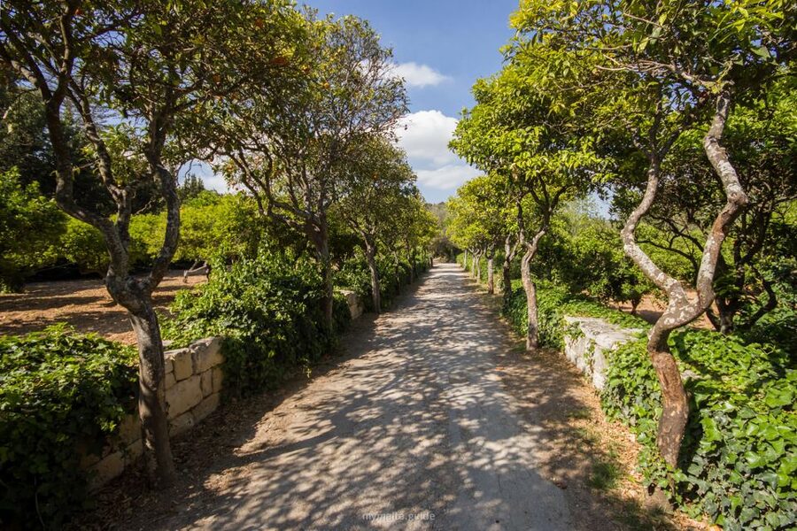 Buskett Woodlands and Dingli Cliffs Private Nature Tour - The Saint Mary Magdalene chapel on the cliff edge