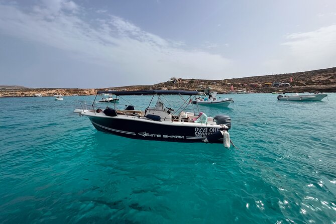 Comino and Parts of Gozo Full Day Private Boat Charter - Key highlights to plan around
