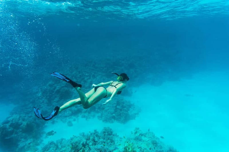 Comino: Blue Lagoon, Crystal Lagoon and Sea Caves Boat Tour - What to bring, what to skip, and what the crew provides