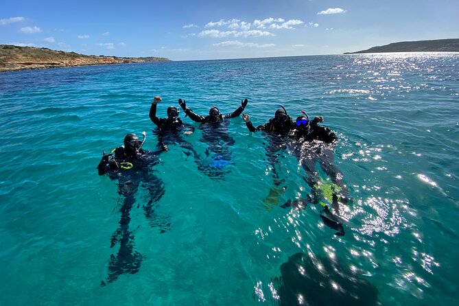 Comino Guided Snorkeling Experience - Stop 3: Alex Cave, the tunnel, and Crystal Lagoon