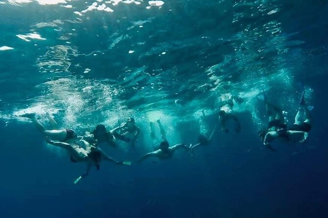 Comino Guided Snorkeling Experience - What’s included, and what you should bring