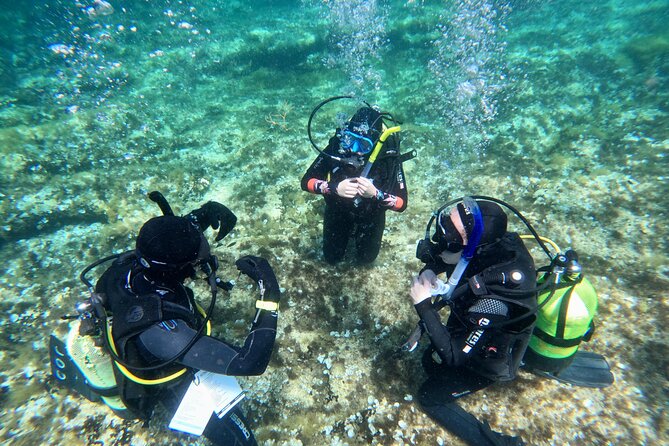 Diving experience in Malta - Ramla Bay Resort Pickup and the Reality of a 3-Hour Schedule
