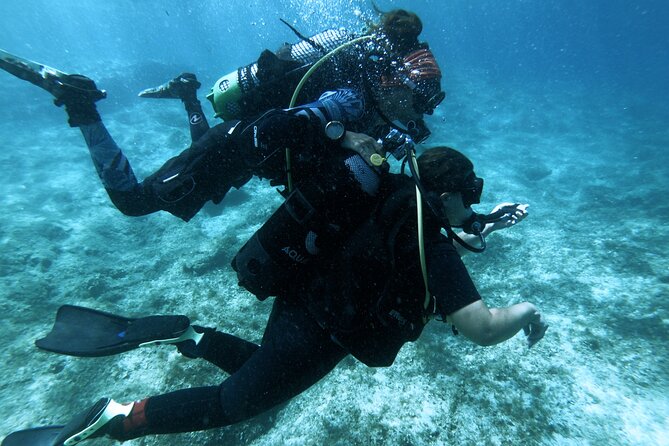 First Experience Scuba Diving - The People Make It: Instructors and the First-Time Mindset