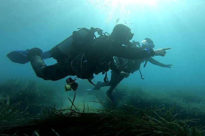 First scuba diving experience with instructor - Malta - What happens in the 3 hours, without rushing you
