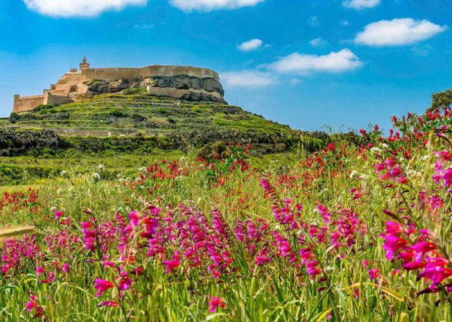 From Malta: Gozo Full-Day Tour with Guide, Temples, & Train - Hotel Pickup and Ferry Crossing: Getting There Without a Travel Headache