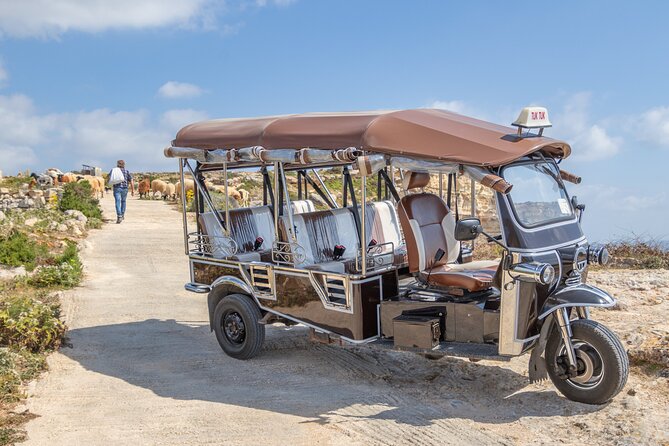 Gozo All Inclusive Chauffeured Tuk Tuk Day Tour - Blue Lagoon - Price and Value: What $102.79 Buys You
