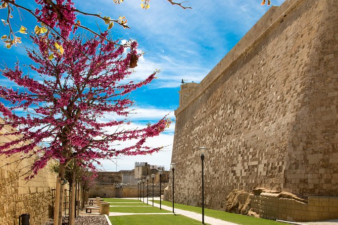 Gozo & Comino Islands, Blue Lagoon & Seacaves Tour - Blue Lagoon: the hour that usually becomes your highlight