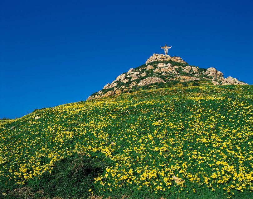 Gozo Day Pass Ferry and Hop-on Hop-off buses with audio Tour - Key things to know before you go