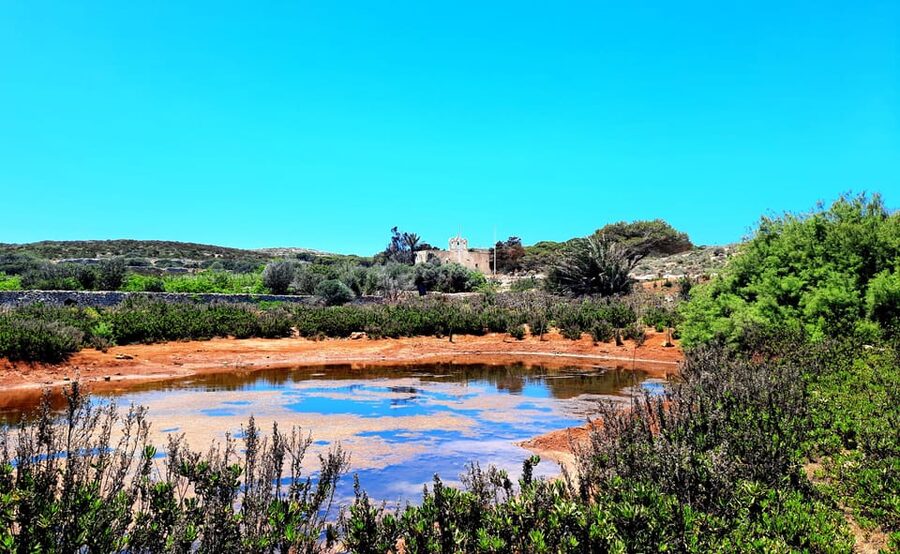 Gozo Unveiled: Guided Hiking in Comino Island - Key highlights to look for