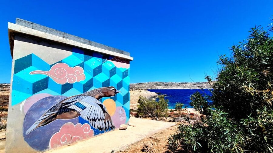 Gozo Unveiled: Guided Hiking in Comino Island - Price and value: what $85 buys you, and what it does not