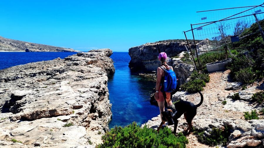 Gozo Unveiled: Guided Hiking in Comino Island - Getting back to Gozo and Victoria: transfers that remove stress