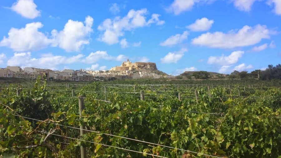 Gozo Victoria Walking Tour - Victoria’s streets, squares, and markets: what to look for while you walk