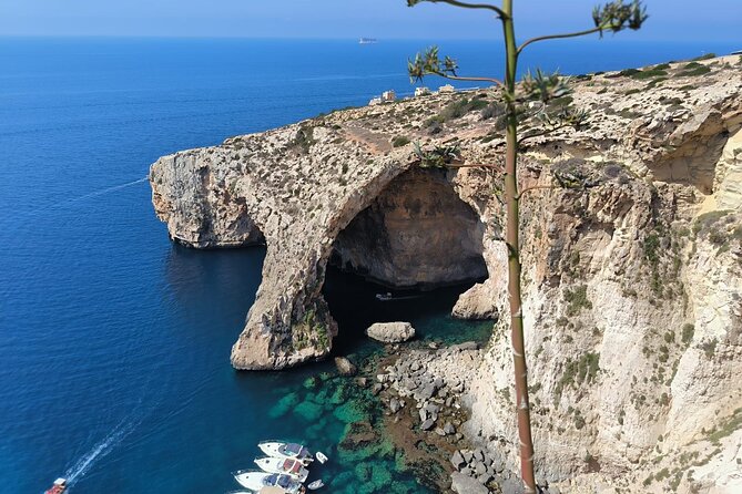 Half Day Private Tour Around Malta - Price and value for a private group up to 8