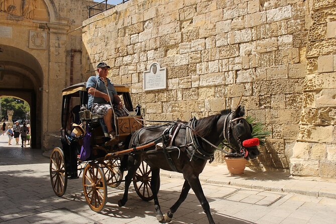 Half Day Shared Tour in Malta - Mdina Old City: The Silent City Walk That Actually Has Time