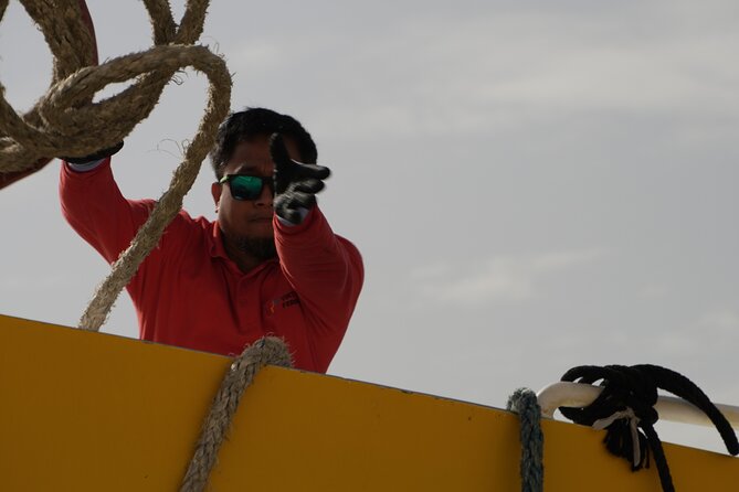 Highspeed Catamaran Crossing Between Malta and Gozo - The Scenic Part: What You’re Actually Buying with a Catamaran