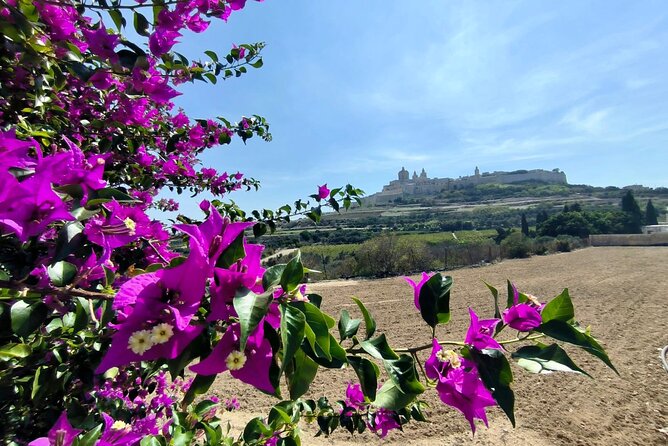 Island Day Tour with a Private Local Driver - Why this Malta island day feels smarter than a checklist