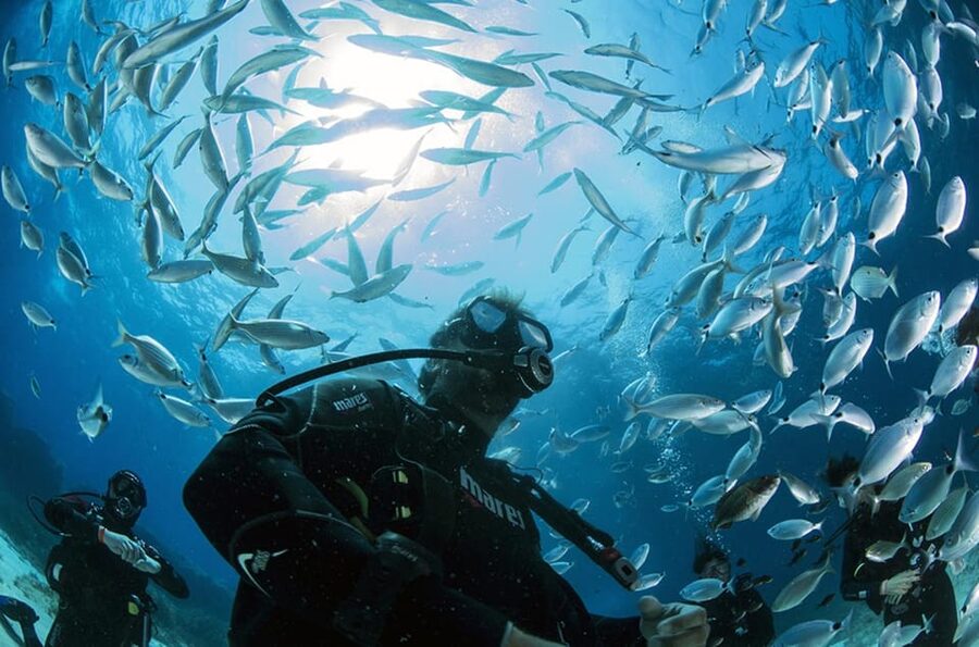 Malta: 1-Day PADI Scuba Diver Certification Beginner Course - Key things I’d watch before you book