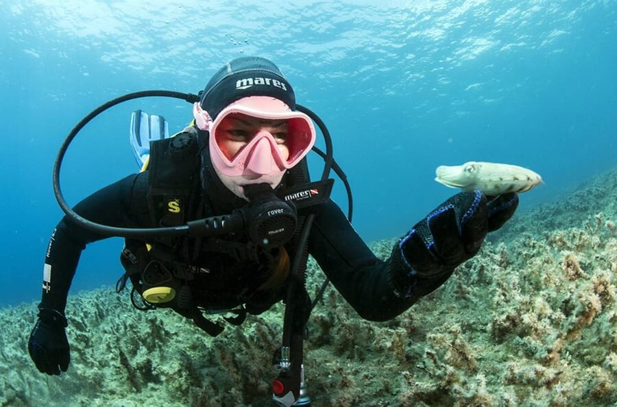 Malta: 1-Day PADI Scuba Diver Certification Beginner Course - First Breaths, Calm Water, and a Malta PADI Certificate