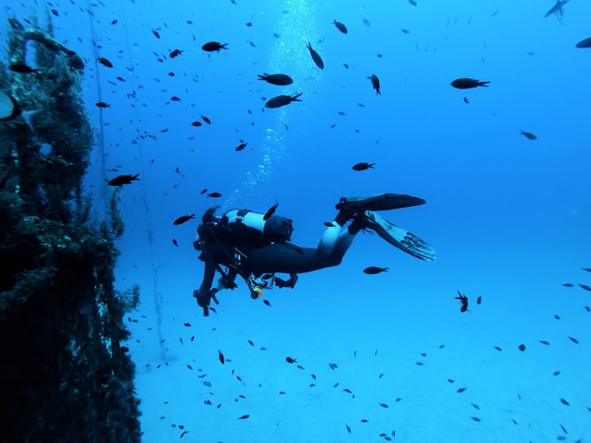 Malta: 2 Scuba Fun Dives for Certified divers - Key highlights to know before you go
