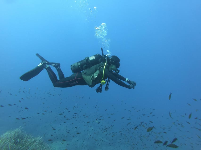 Malta: 2 Scuba Fun Dives for Certified divers - Price and value: $118 for two guided underwater outings in Malta