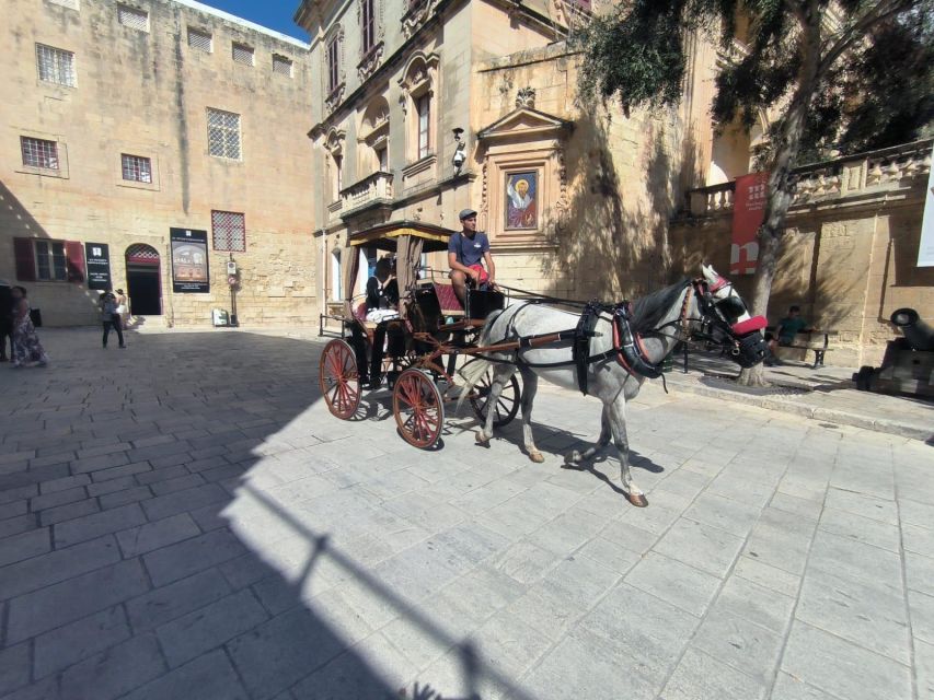 Malta: Ancient Wonders, Coastal Charms, and Cities Tour - A fishing village stop: the Malta you actually smell