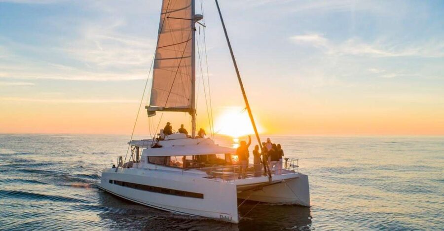 Malta: Catamaran Private Day Charter with Skipper - Comino Stop: Swimming, Snorkeling, BBQ Time, and Wildlife Watch