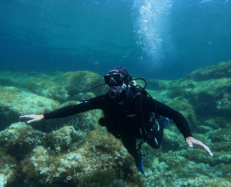 Malta: Discover Scuba Diving in crystal clear waters - Should you book this first-time scuba session in Malta?
