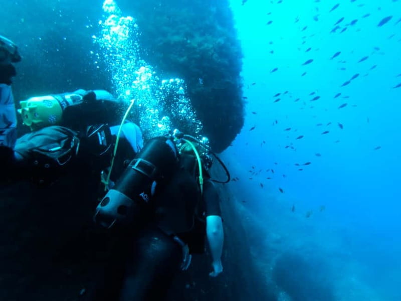 Malta: First Experience Scuba Diving Lesson - Key highlights you will feel right away