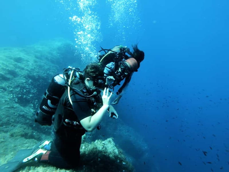 Malta: First Experience Scuba Diving Lesson - First steps in Malta’s water: what your 2.5 to 3.5 hours really includes