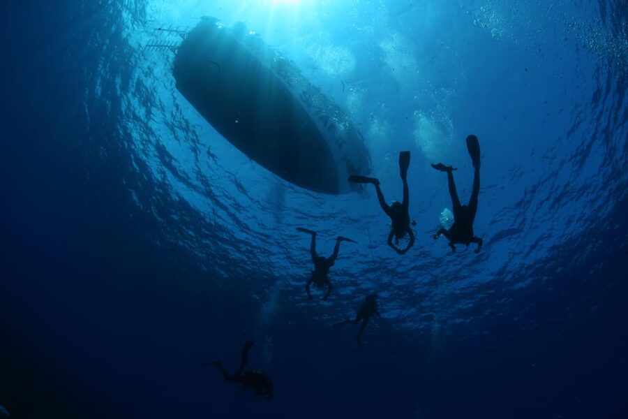 Malta: Guided Shore Dives in Malta for Certified Divers - Quick highlights before you go