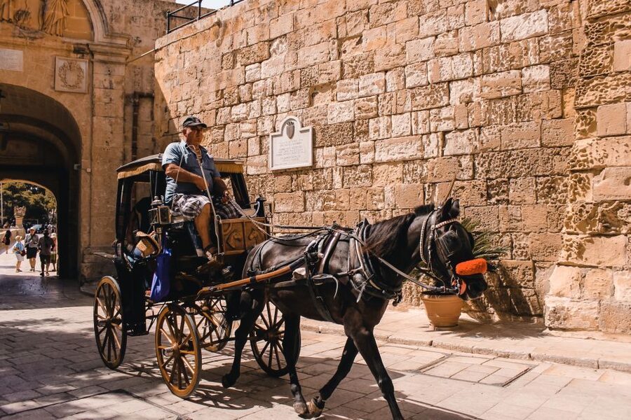 Malta: Highlights of Malta & Mdina Full Day Tour with Lunch - Mosta Rotunda Admission, The Dome Inside the Church