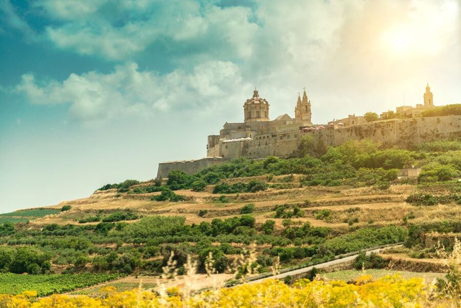 Malta: Highlights of Malta & Mdina Full Day Tour with Lunch - Lunch on Tour: Fixed Menu, Wine Included, Quality Varies
