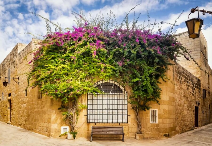 Malta: Mdina, Dingli Cliffs and San Anton Botanical Gardens - FAQ