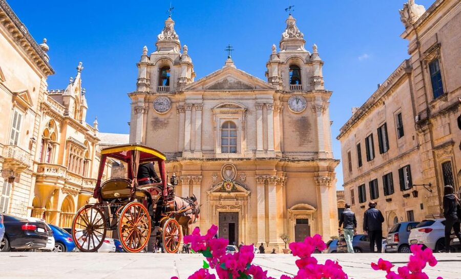 Malta: Mdina, Dingli Cliffs and San Anton Botanical Gardens - Price and value: is $41 worth a four-hour guided loop?