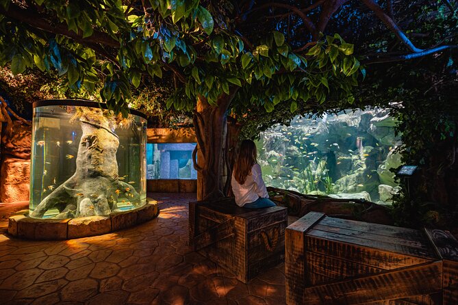 Malta National Aquarium Entrance Ticket - Starfish building, 52 tanks, and what the layout really feels like