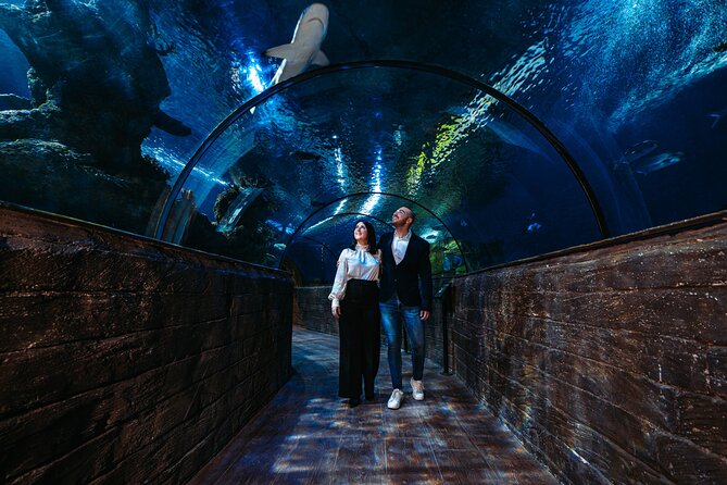 Malta National Aquarium Entrance Ticket - Mediterranean fish, Maltese underwater artefacts, and the “local” angle