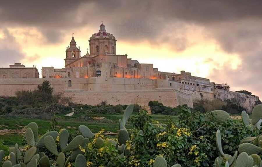 Malta: Rabat, Mdina, & San Anton Gardens Tour - San Anton Palace Gardens: Malta’s president’s grounds, plus a garden break