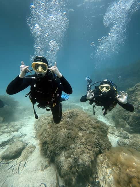 Malte : Baptême de plongée sous-marine en Français - Key highlights you will feel on the day