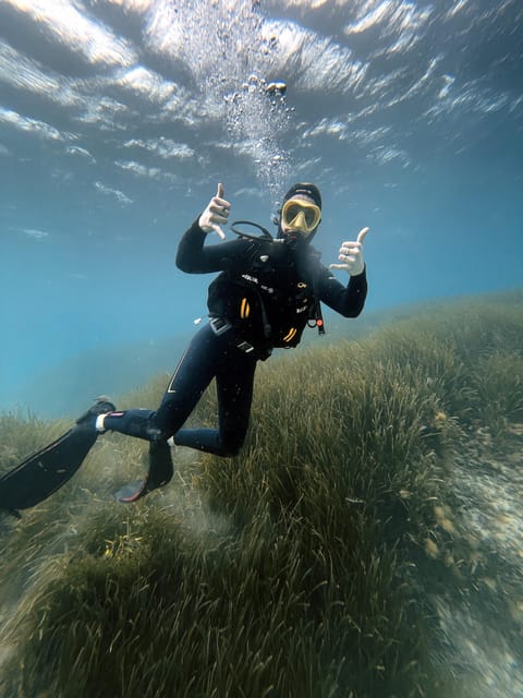 Malte : Baptême de plongée sous-marine en Français - What to bring and what to watch out for
