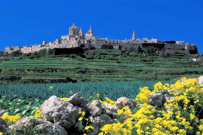Mdina, Dingli cliffs and San Anton Gardens guided tour - San Anton Gardens near the Presidential Palace