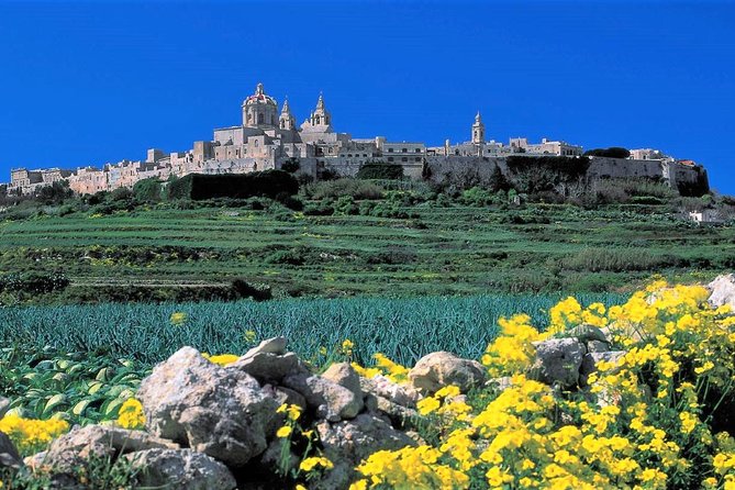 Mdina, Rabat, Dingli cliffs, San Anton gardens, Ta' Qali & Mosta guided tour - Key points worth knowing