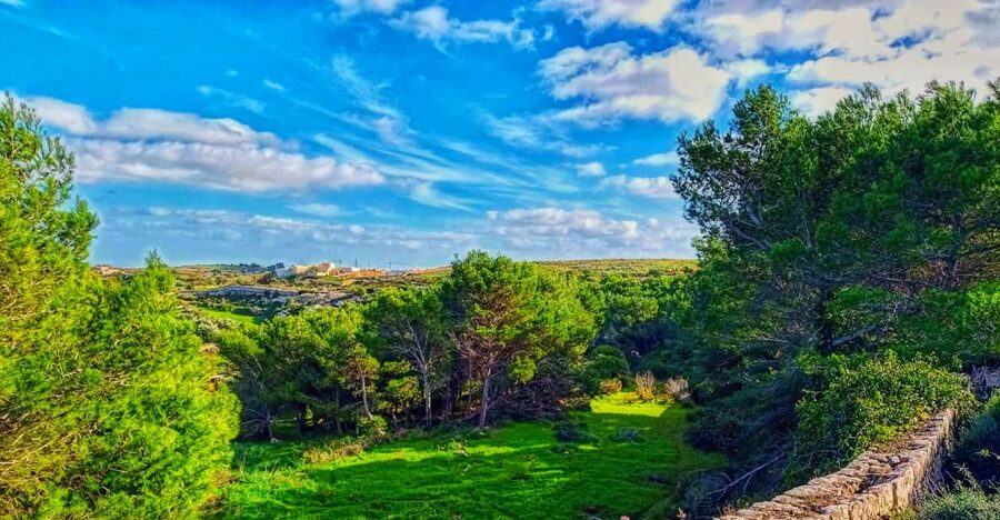 Nature Highlights Private Walking Tour with Transport - Key highlights at a glance