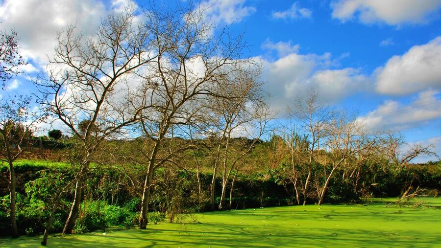 Nature Highlights Private Walking Tour with Transport - What to bring, what to avoid, and how to make the day smoother